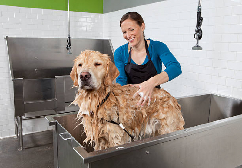 Banho Natural para Animais Marcar Lado Sul - Banho Natural para Cachorros