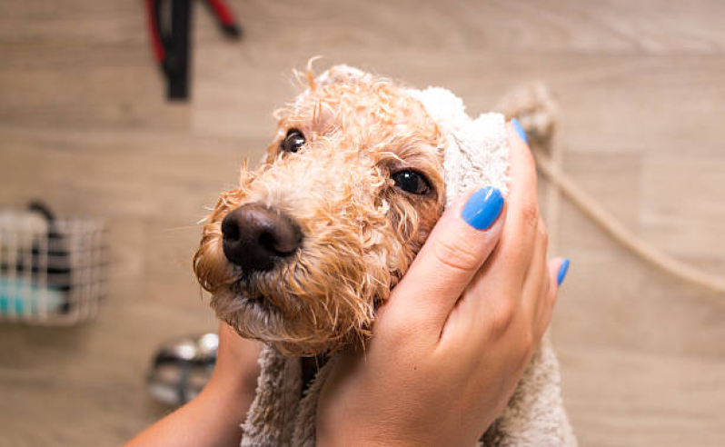 Banho Natural para Cachorros Marcar Praça dos Três Poderes - Banho Natural para Animais