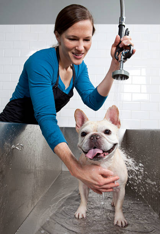 Banho Natural para Cães e Gatos Eixo Monumental - Banho Natural para Pet