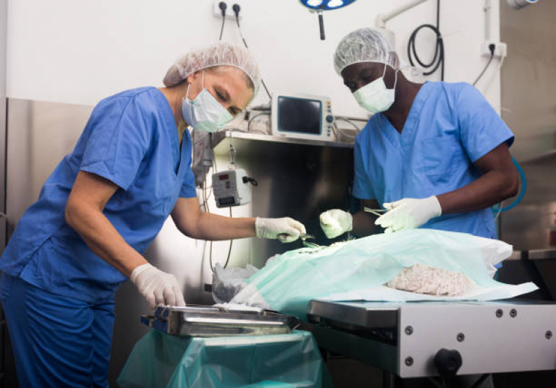 Cirurgia de Castração de Cachorro Agendar Esplanada dos Ministérios - Cirurgia em Animais Asa Norte