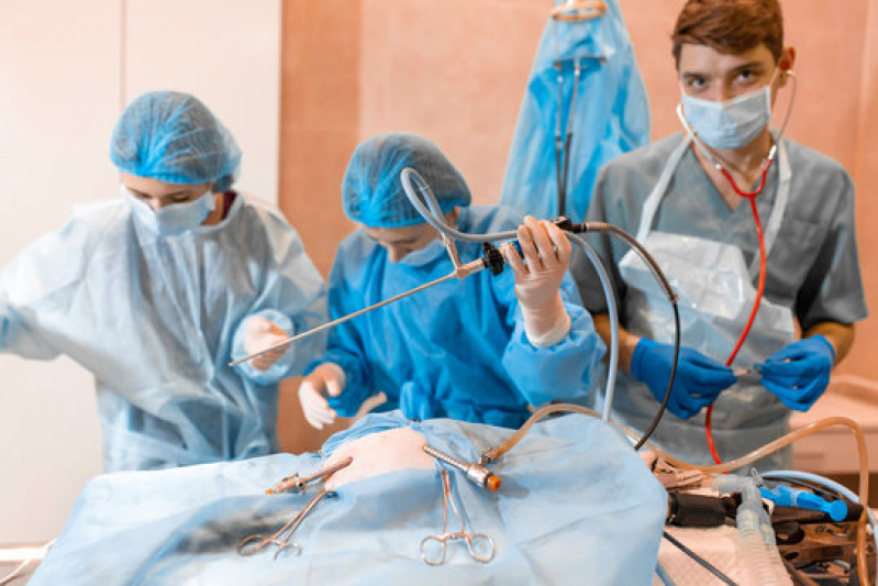 Clínica de Cirurgia de Castração Veterinária W3 Sul - Cirurgia Veterinária Castração Asa Norte