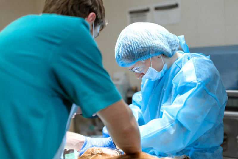 Clínica de Cirurgia Reconstrutiva Veterinária Distrito Federal - Cirurgia Geral Veterinária Lago Noroeste
