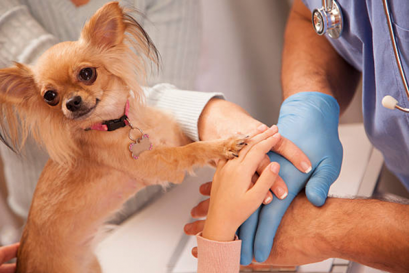 Clínica de Veterinária EPNB Estrada Parque Núcleo Bandeirante - Clínica Veterinária Pequenos Animais Lago Norte