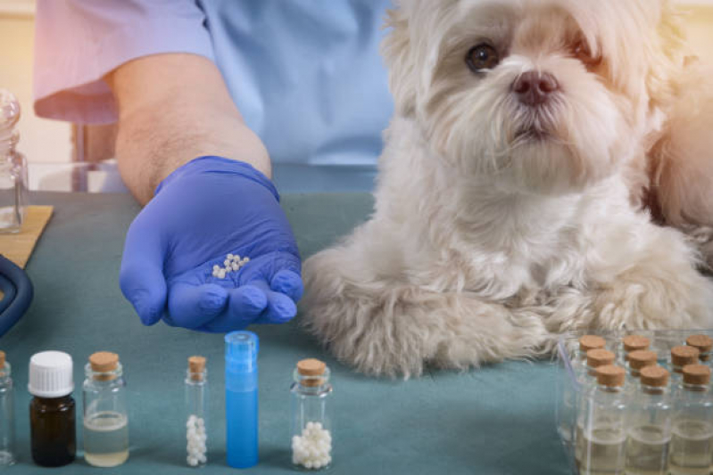 Clínica Especializada em Homeopatia para Animais de Estimação Eixo Rodoviário Oeste - Homeopatia Veterinária para Alergia
