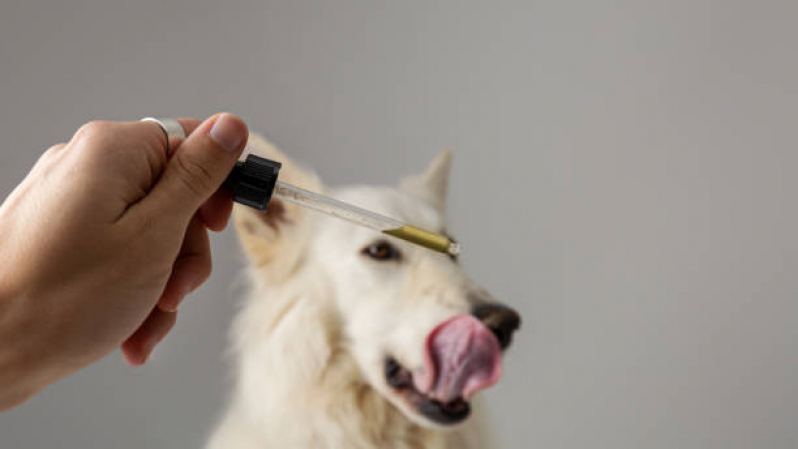 Clínica Especializada em Homeopatia para Cachorro SETOR DE CLUBES SUL - Homeopatia para Pets