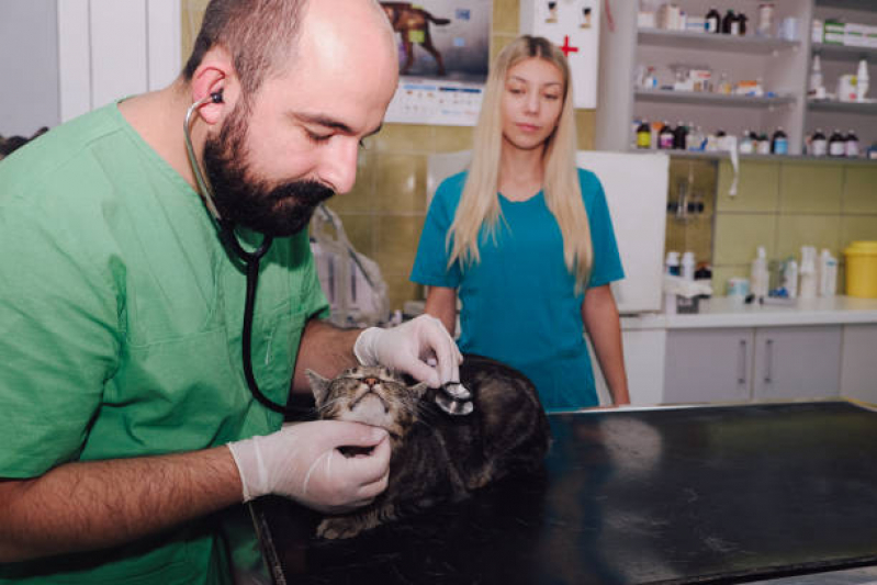 Clínica Especializada em Medicina Integrativa para Pet Lago - Medicina Integrativa Veterinária Brasília