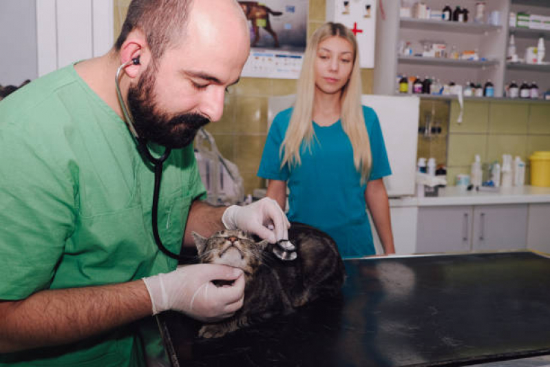 Clínica Especializada em Medicina Integrativa para Pet SETOR DE ARMAZENAGEM E ABASTECIMENTO NORTE - Medicina Integrativa para Cachorros e Gatos