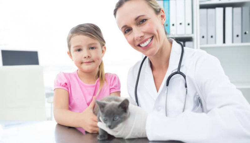 Clínica Especializada em Neurologia Animal Octogonal - Neurologia para Gatos