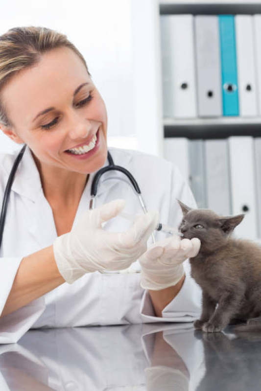 Clínica Especializada em Neurologia Gatos Sobradinho II - Neurologia para Pet
