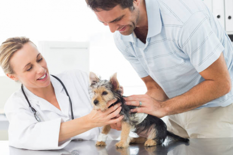 Clínica Especializada em Neurologia para Cachorro PARQUE TECNOLOGICO DE BRASILIA GRANJA DO TORT - Neurologia Animal