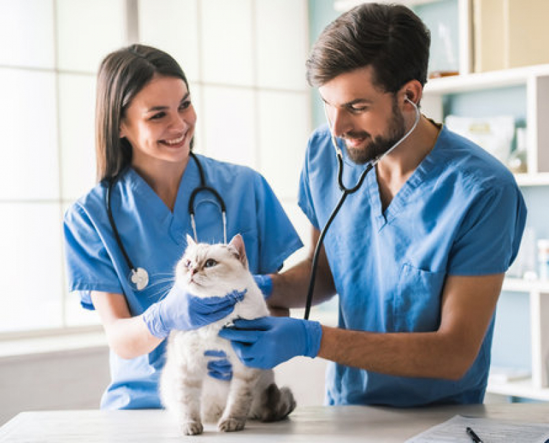 Clínica Geral de Animais Contato Guara - Clínica Geral Veterinária Perto Lago Norte