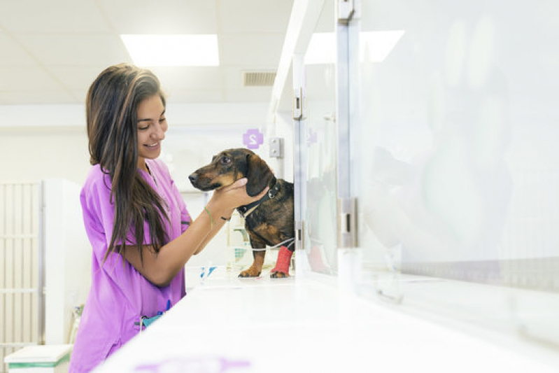 Clínica Geral de Animais Condomínio Santa Mônica - Clínica Medica e Cirurgica de Pequenos Animais Asa Norte