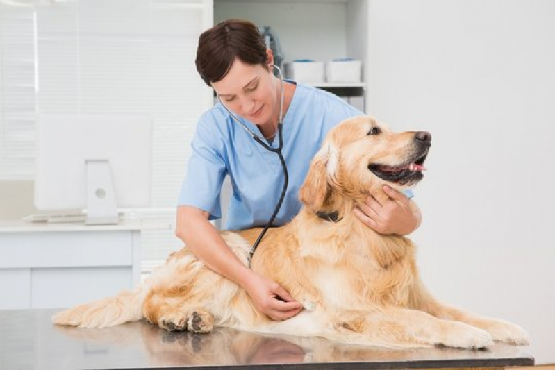 Clínica Geral Medicina Veterinária Contato Condomínio Solar de Brasília - Clínica Geral para Animais Asa Norte