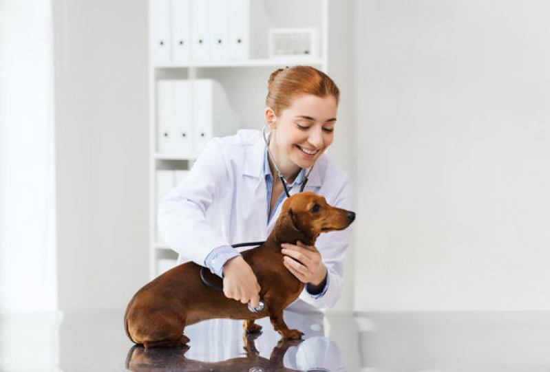 Clínica Geral na Area da Medicina Veterinária Endereço Guará I - Clínica Geral para Animais Asa Norte