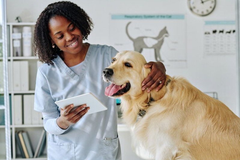 Clínica Geral para Animais Endereço Condomínio Santa Mônica - Clínica Geral na Area da Medicina Veterinária Lago Noroeste