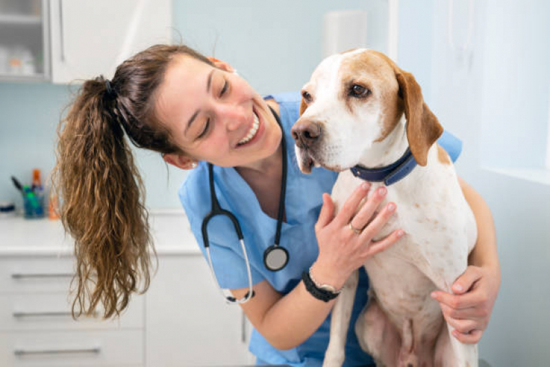 Clínica Veterinária Alimentação Natural Brasília - Clínica de Veterinária Asa Norte