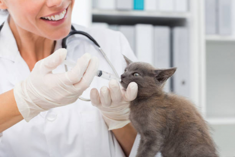 Clínica Veterinária Animais Domésticos SAAN - Clínica Veterinária Brasília