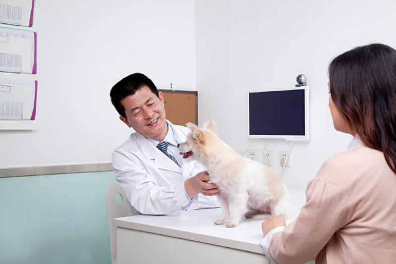 Clínica Veterinária Animal Contato DF - Clínica Veterinária Cães e Gatos