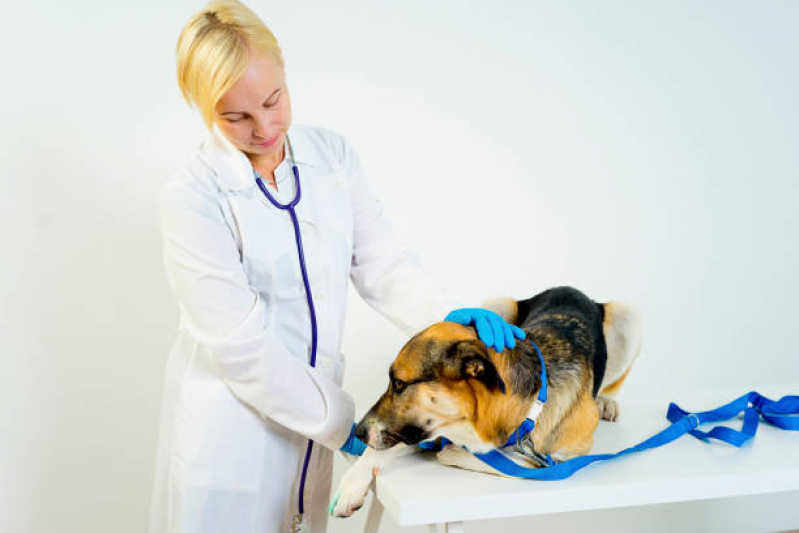 Clínica Veterinária Cães e Gatos SETOR DE ARMAZENAGEM E ABASTECIMENTO NORTE - Clínica Veterinária Brasília