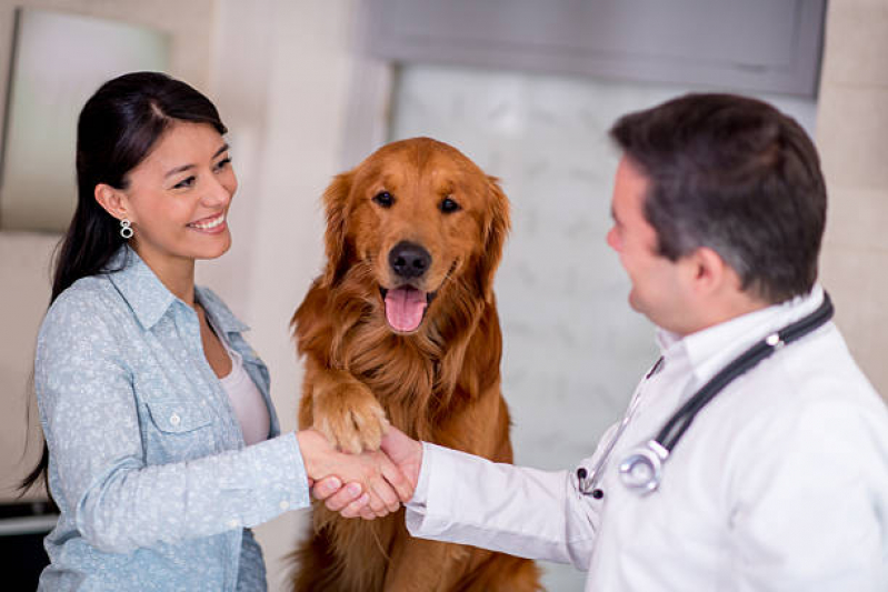 Clínica Veterinária Cão e Gato SHTS Setor Hoteleiro Sul - Clínica Cirúrgica Veterinária Lago Noroeste