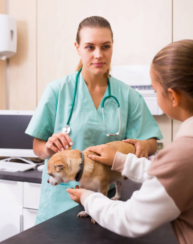 Clínica Veterinária Integrativa para Cães e Gatos Telefone Sobradinho II - Clínica Veterinária Integrativa Perto de Mim