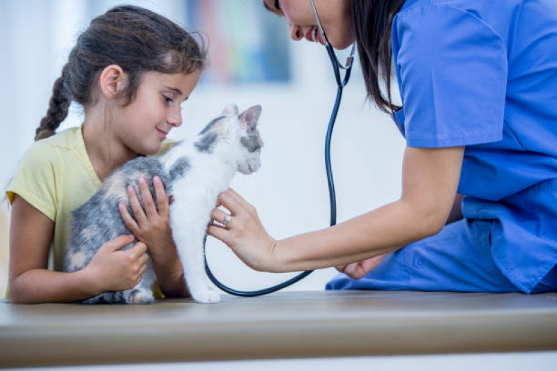 Clínica Veterinária Integrativa para Cães e Gatos Sobradinho II - Clínica Veterinária Integrativa para Gatos