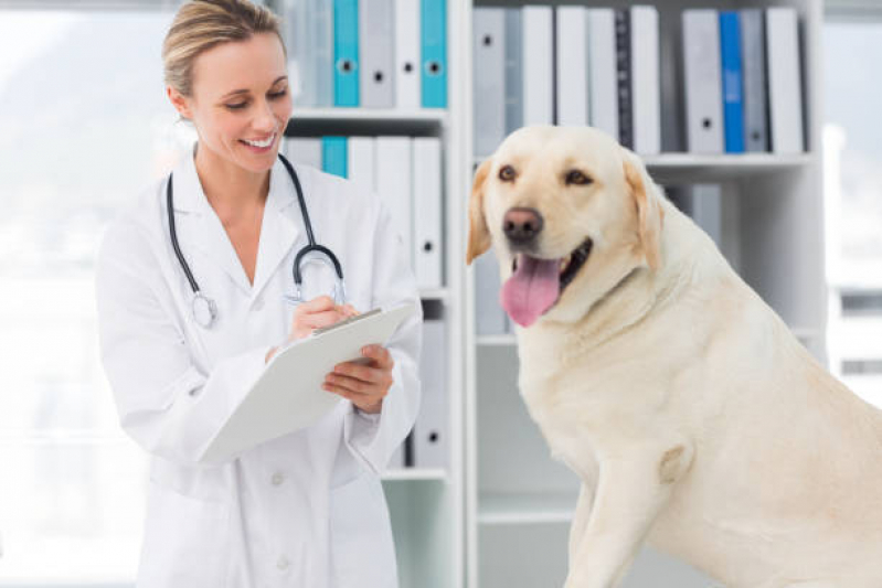 Clínica Veterinária Integrativa para Gatos Telefone SETOR DE ARMAZENAGEM E ABASTECIMENTO NORTE - Clínica Veterinária Integrativa Mais Próxima