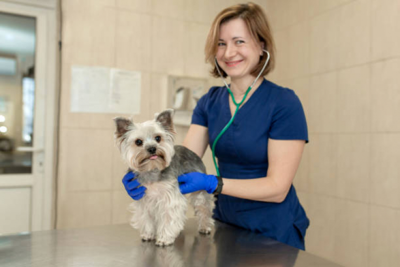 Clínica Veterinária Mais Próxima Contato AVENIDA W3 - Clínica Veterinária Cães e Gatos