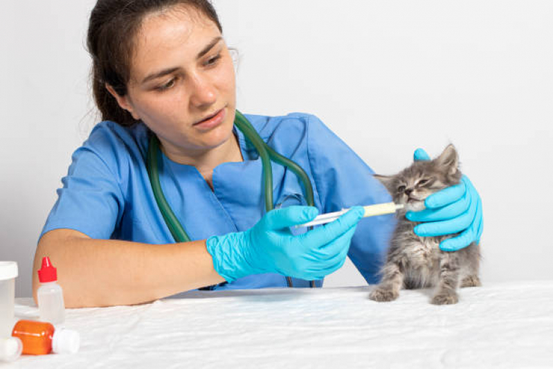 Clínica Veterinária Mais Próximo de Mim Contato SAAN - Clínica Veterinária Animais Domésticos