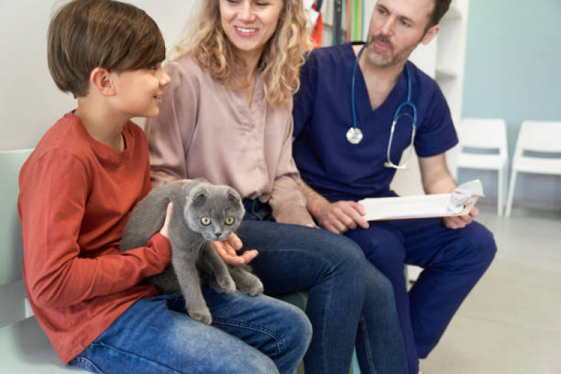 Clínica Veterinária Perto de Mim Noroeste - Clínica Veterinária Cães e Gatos