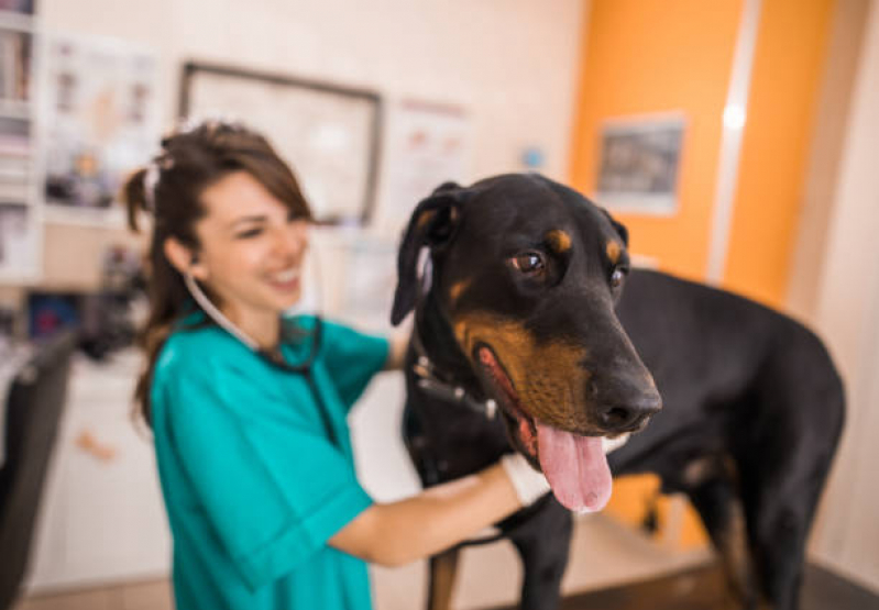 Clínica Veterinária Próxima Eixo Rodoviário Sul - Clínica Veterinária Brasília