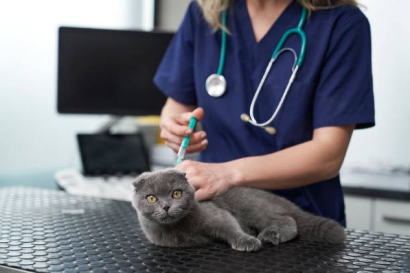 Clínica Veterinária Aeroporto de Brasilia - Clínica Veterinária Animais Domésticos