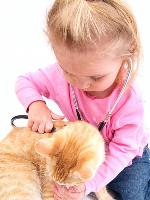 Consulta de Odontologista para Pet Marcar ZR Zona Residencial - Consulta de Ortopedia para Pet