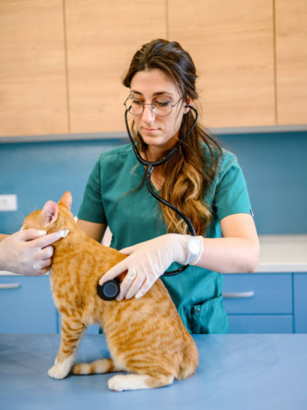Consulta para Pet SIA - Consulta de Oncologia para Pet
