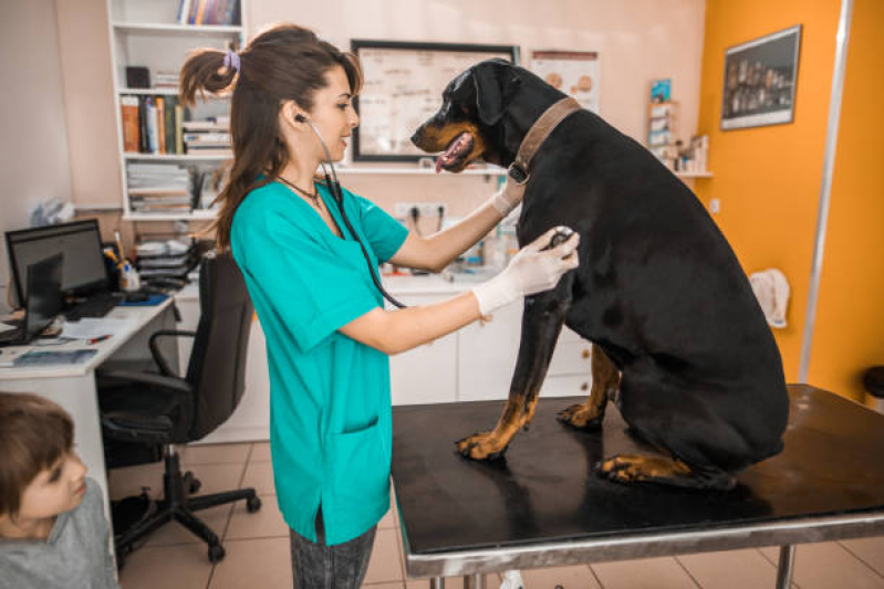 Contato de Clínica Veterinária Animal Distrito Federal - Clínica Veterinária Animal