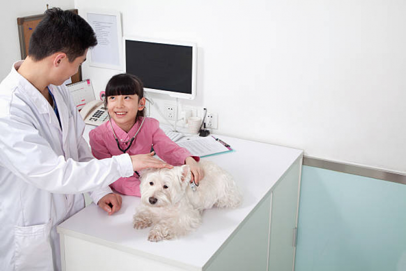 Contato de Clínica Veterinária e Pet Shop Condomínio Quintas da Alvorada - Clínica Veterinária Animais Domésticos