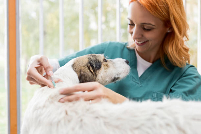 Contato de Clínica Veterinária Emergência Sul Águas Claras - Clínica Veterinária Cão e Gato Asa Norte
