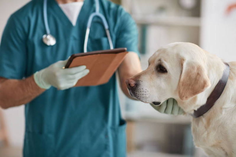 Contato de Clínica Veterinária Especializada em Alimentação Natural Brasília - Clínica Veterinária Oftalmologia Asa Norte