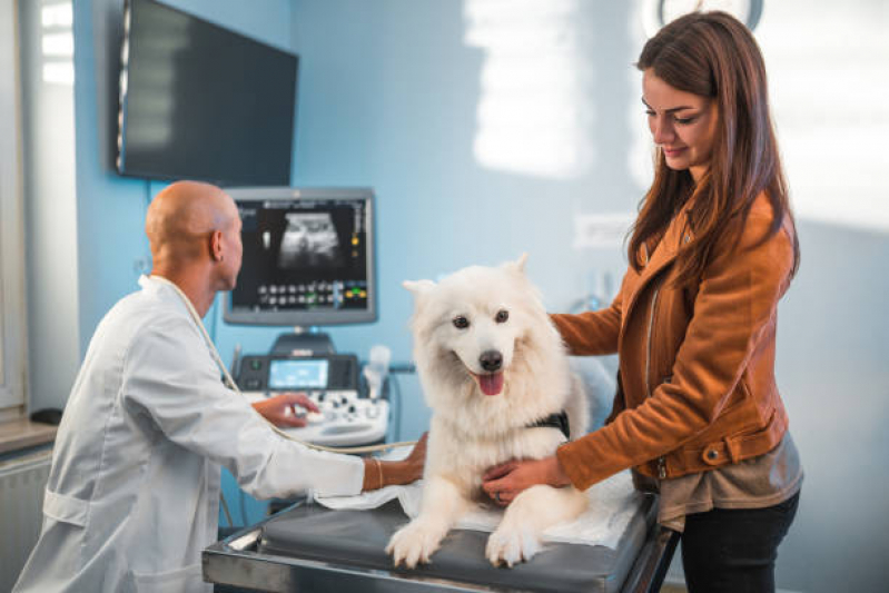 Contato de Clínica Veterinária para Gatos SHTS Setor Hoteleiro Sul - Clínica Veterinária Cão e Gato Asa Norte