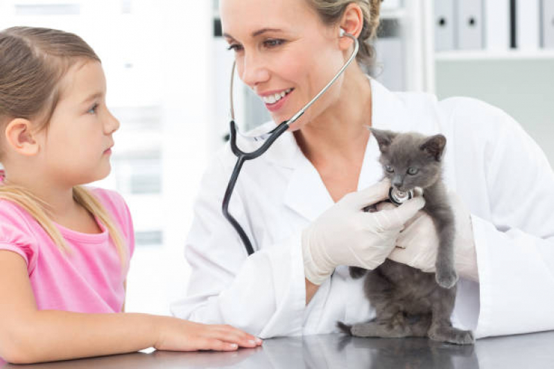 Contato de Clínica Veterinária Pet Shop Lado Sul - Clínica Veterinária Cães e Gatos