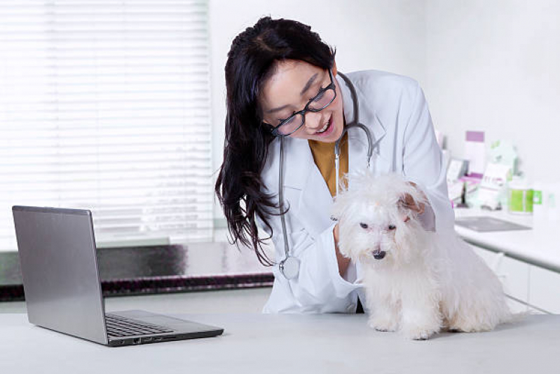 Dermatologista Animais Eixo L - Dermatologia de Pequenos Animais