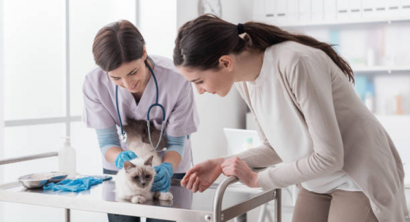Dermatologista de Animais Setor Administrativo - Dermatologia em Cães e Gatos