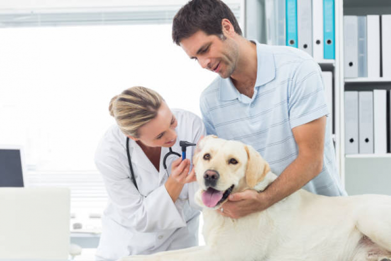 Dermatologista para Cães SETOR DE ARMAZENAGEM E ABASTECIMENTO NORTE - Dermatologia de Pequenos Animais