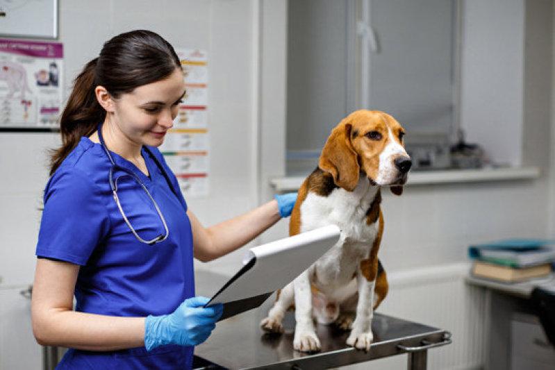 Endereço de Clínica Geral para Animais Octogonal - Clínica Medica e Cirurgica de Pequenos Animais Asa Norte