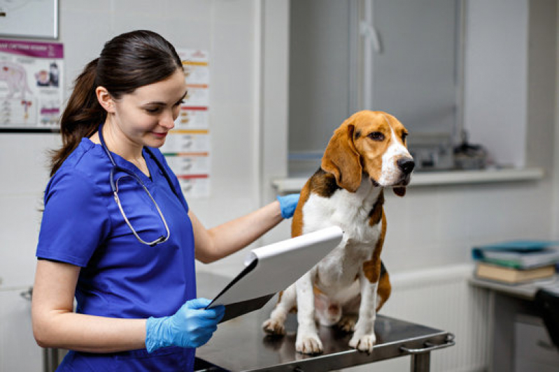 Endereço de Clínica Geral para Animais Guará I - Clínica Geral de Animais Asa Sul