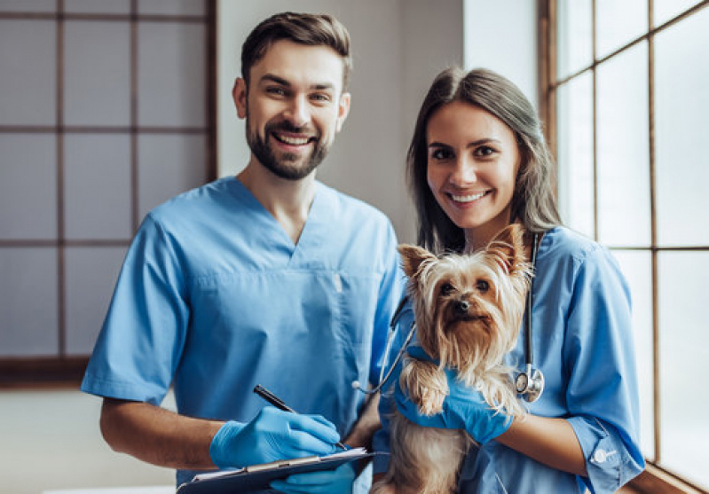 Endereço de Clínica Geral Veterinária Aeroporto BSB - Clínica Veterinária Geral Lago Noroeste