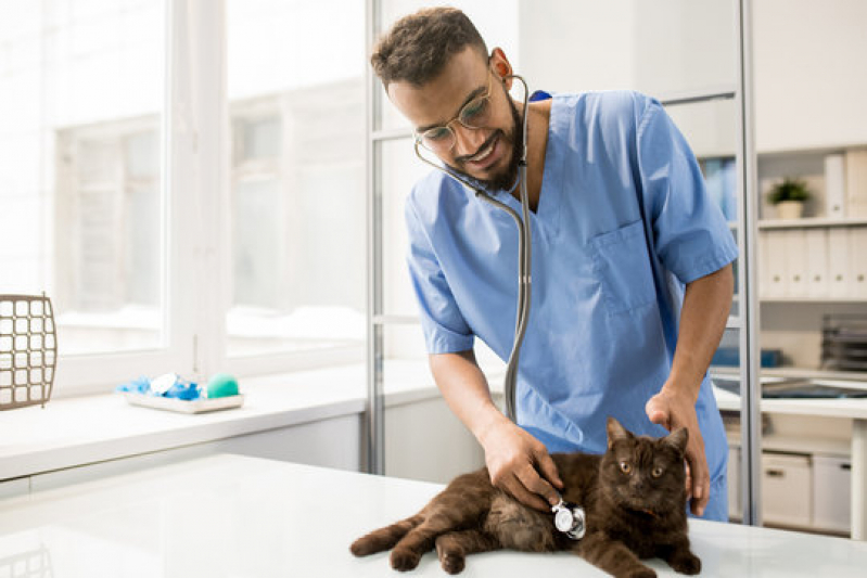 Endereço de Clínica Medica e Cirurgica de Pequenos Animais Lado Sul - Clínica Geral Veterinária Perto Lago Norte