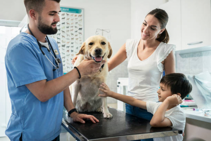 Endereço de Clínica Médica Veterinária Park Way - Clínica Veterinária Pequenos Animais Lago Norte