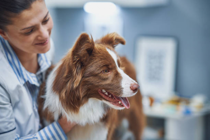 Endereço de Clínica Veterinária Alimentação Natural Park Sul - Clínica Veterinária Alimentação Natural Asa Sul