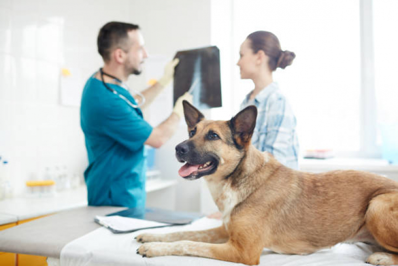 Endereço de Clínica Veterinária com Produtos Naturais SIA - Clínica Veterinária Cão e Gato Asa Norte